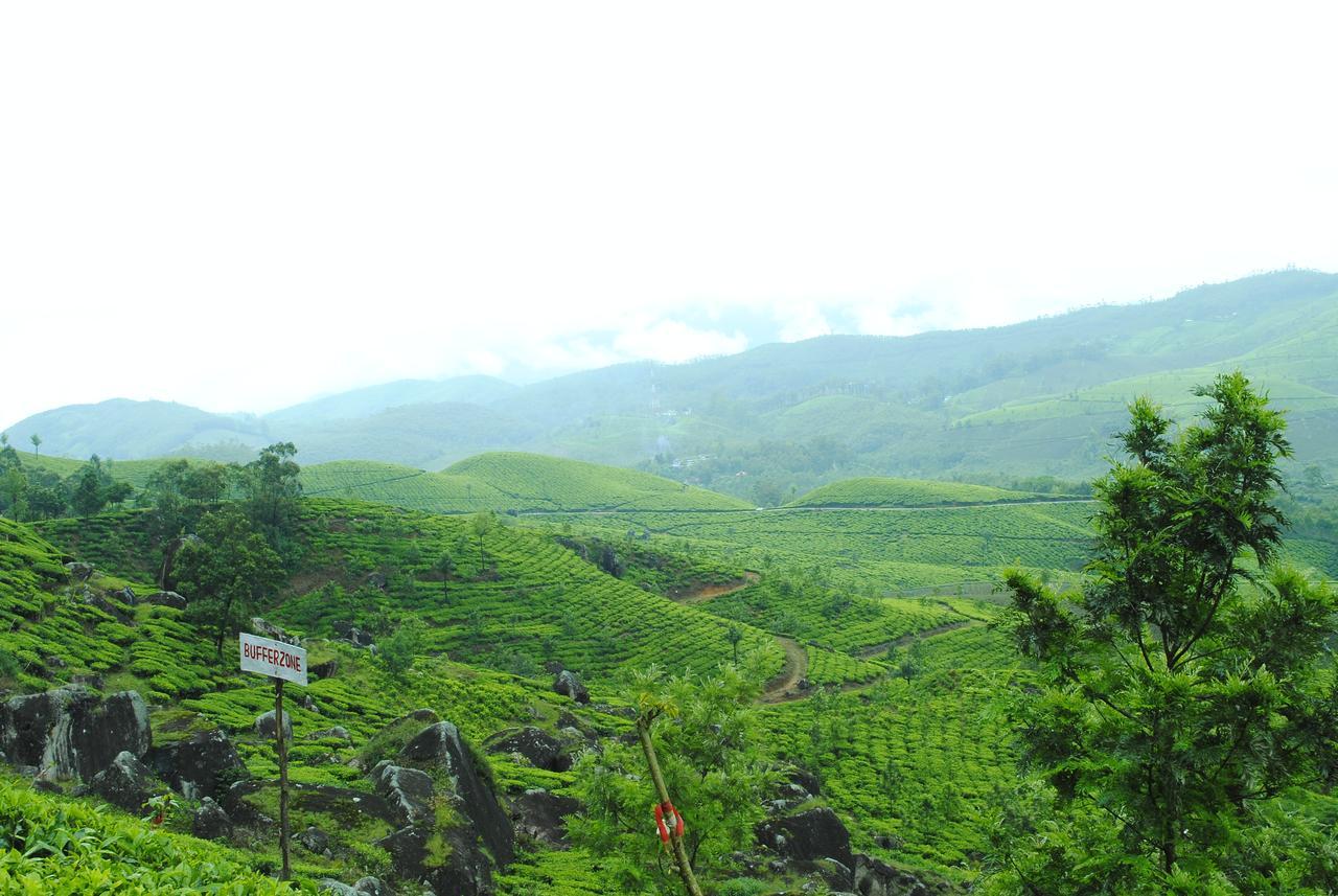 Tranquil Valley Resort Munnar Kültér fotó
